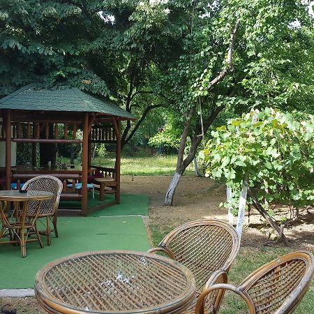 크라이오바 Casa Boiereasca 호스텔 외부 사진