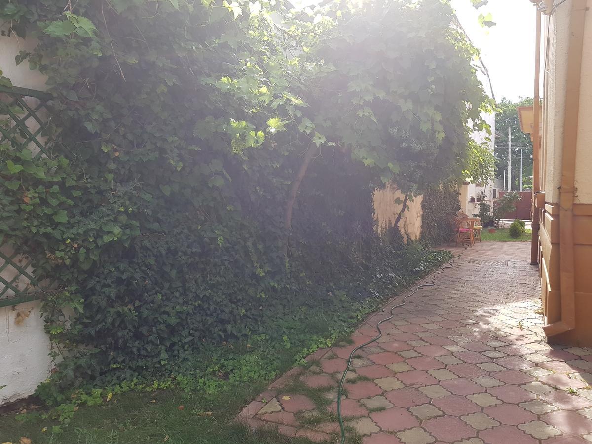 크라이오바 Casa Boiereasca 호스텔 외부 사진